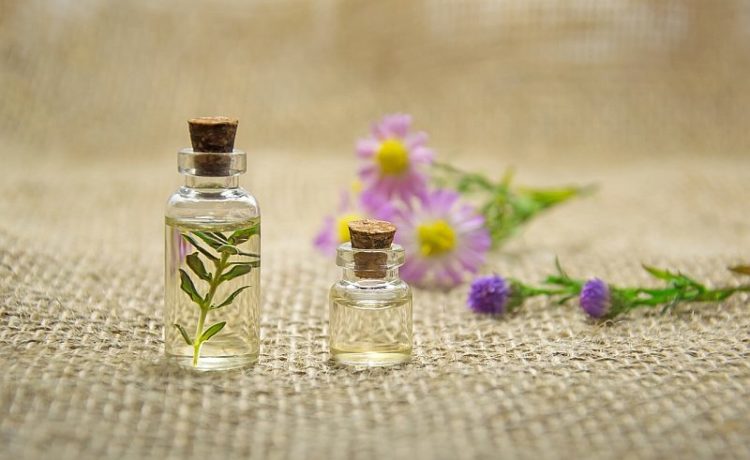 essential oils plants